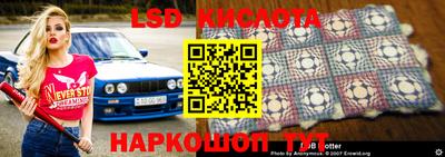крисы Севастополь