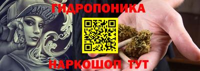 шишки Свободный
