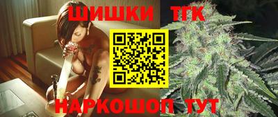 сатива Славгород