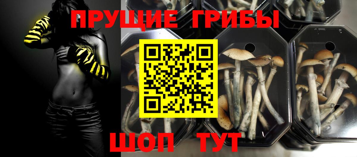 наркошоп  Вход с VPN  Бирск  Галлюциногенные грибы мицелий 